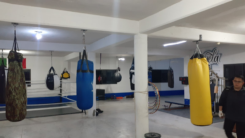 gym en Jiutepec