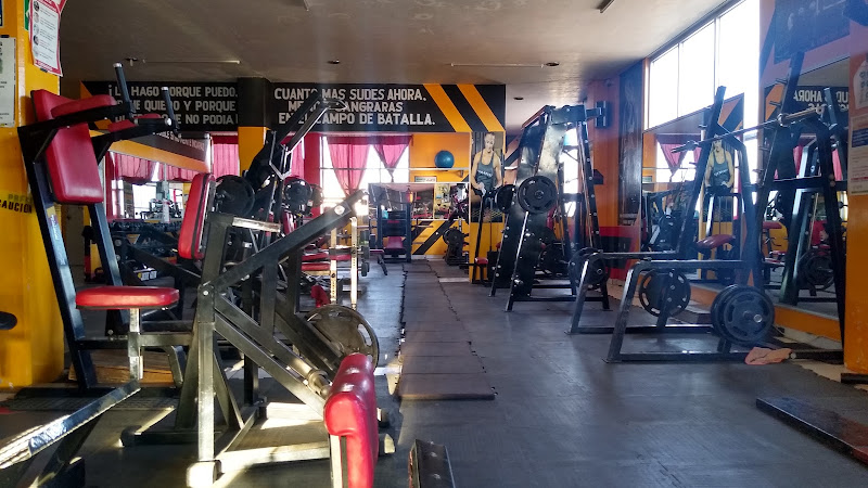gym en Guadalupe