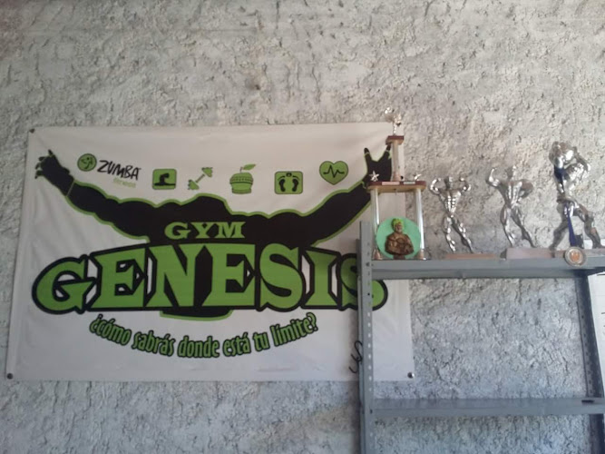 gym en Rincón de Romos