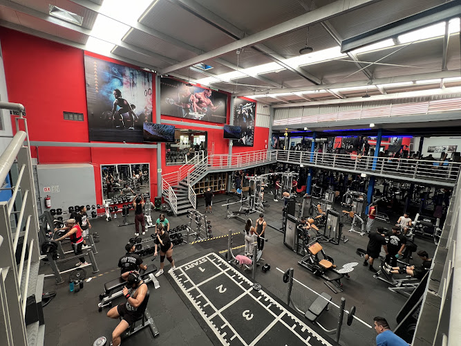 gym en Jiutepec