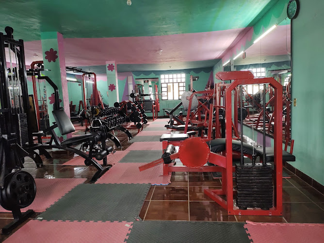 gym en Calera de Víctor Rosales