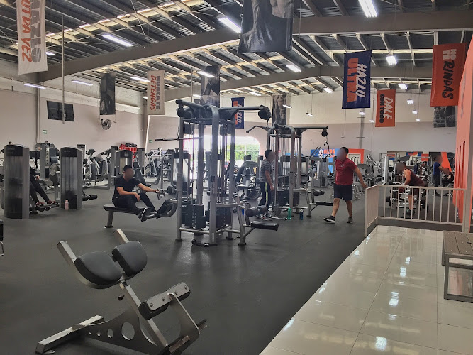 gym en Valle de Guadalupe