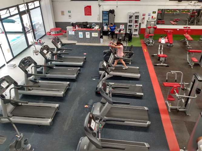 gym en Querétaro