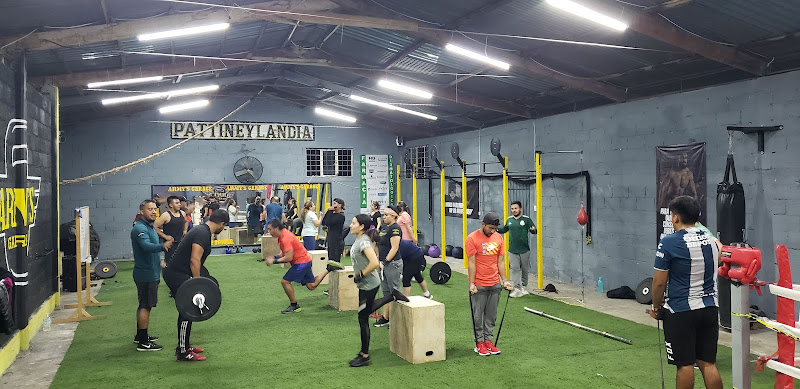 gym en Actopan