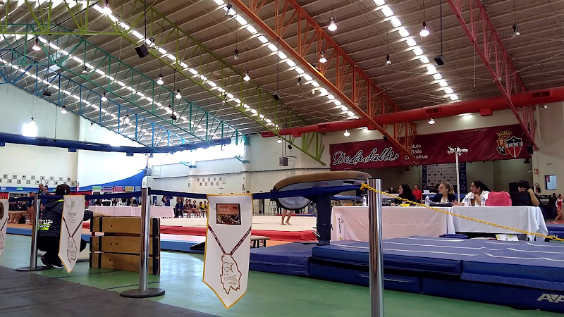 gym en Chihuahua