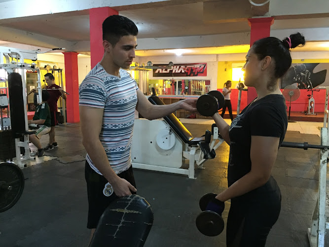 gym en Sinaloa