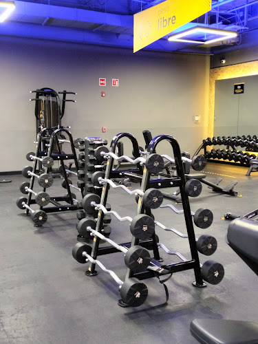 gym en Fresnillo