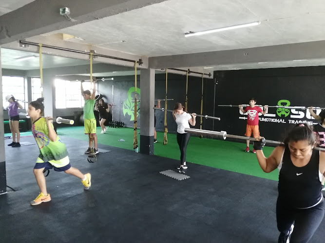 gym en Quintana Roo