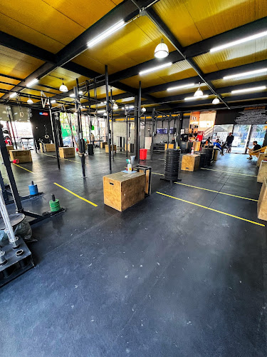 gym en Cuajimalpa de Morelos