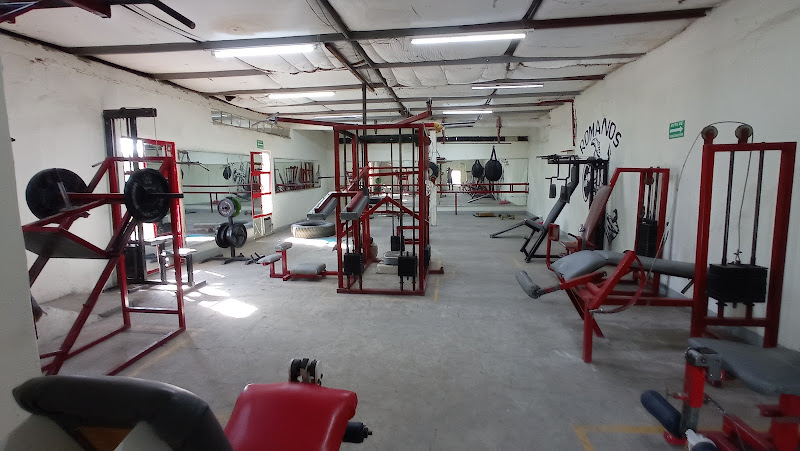 gym en Gómez Palacio