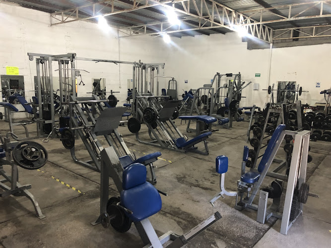 gym en Chihuahua