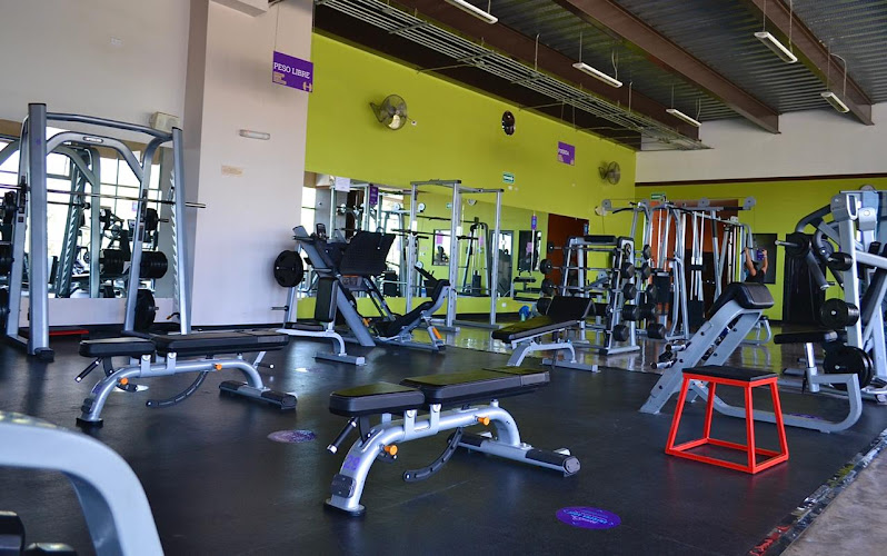 gym en Aguascalientes