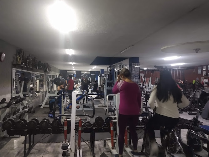 gym en San Francisco del Rincón