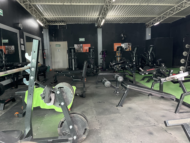 gym en Cuernavaca