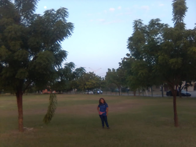 gym en Miguel Alemán