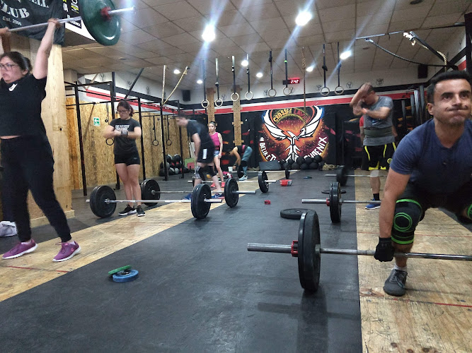 gym en Tlalnepantla de Baz