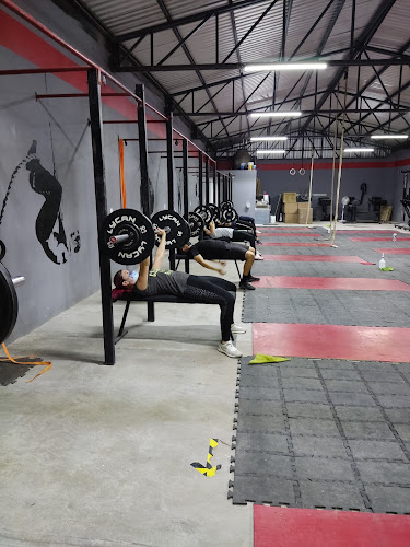 gym en Jerez de García Salinas