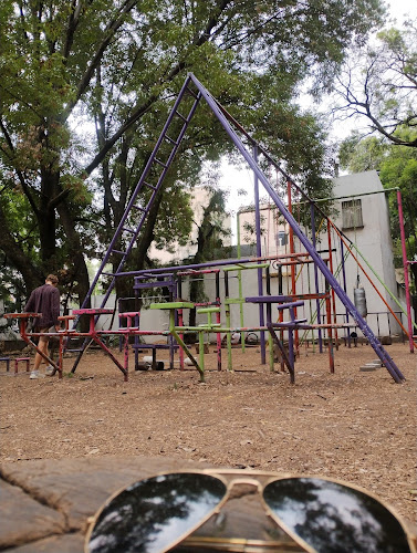 gym en Coyoacán