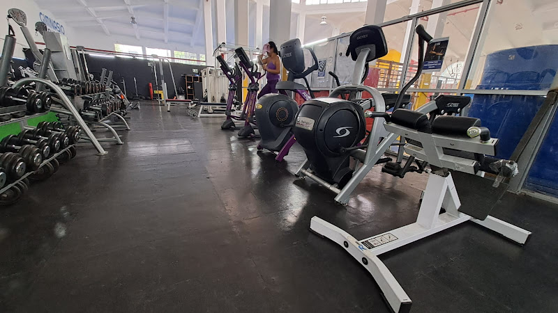 gym en Coyoacán