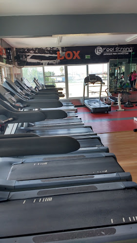 gym en Nuevo León