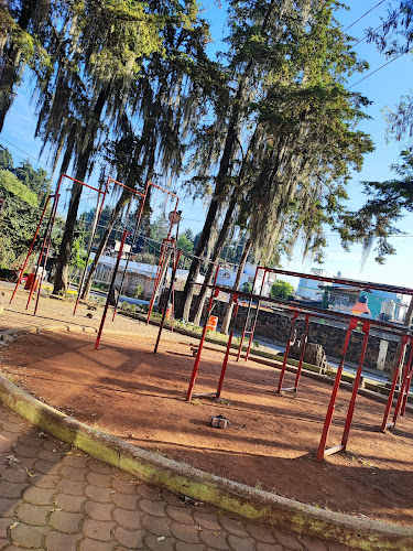 gym en Tenancingo