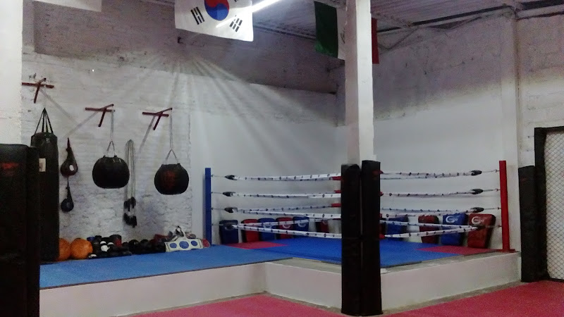 gym en Tepeji del Río de Ocampo