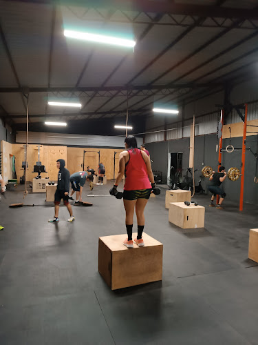gym en Matamoros
