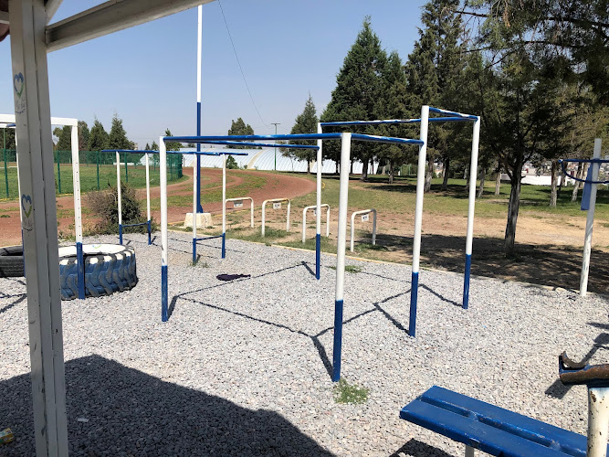 gym en Apizaco