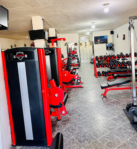 gym en Tamaulipas