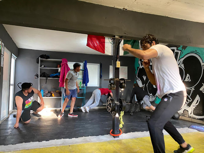 gym en Zumpango
