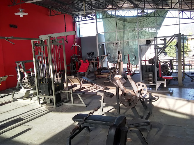gym en Ciudad Altamirano (Pungarabato)