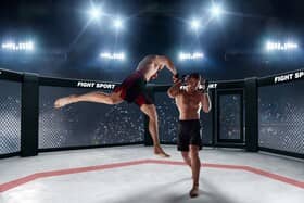 MMA