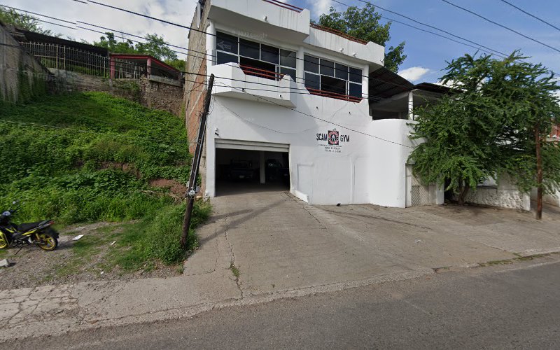 gym en Ciudad Altamirano (Pungarabato)