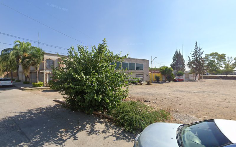 gym en Rincón de Romos
